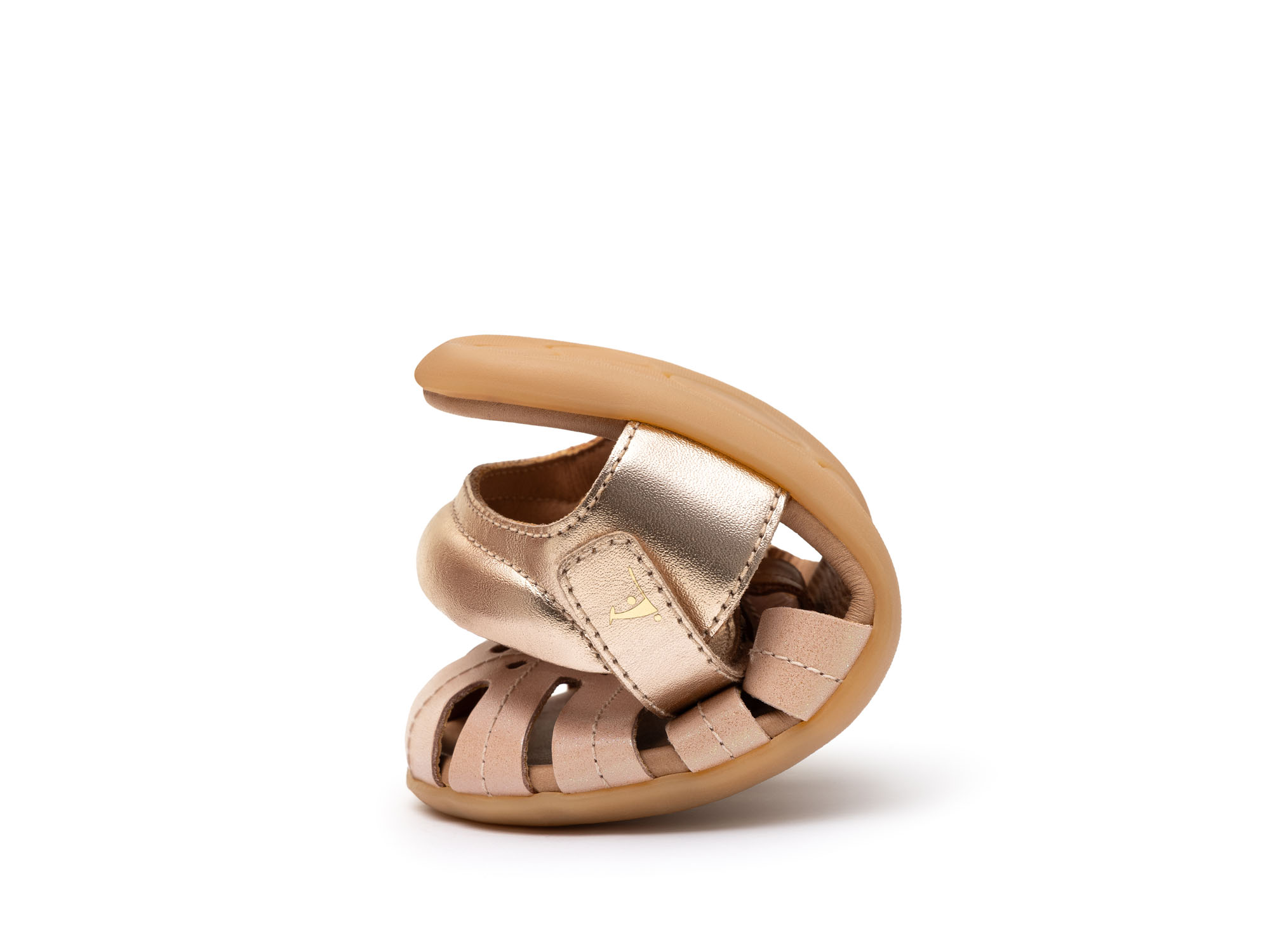   for  Tropical | Tip Toey Joey - Australia - 2